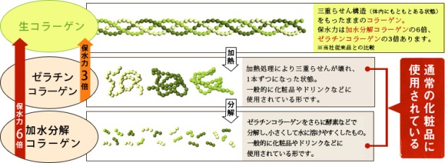 サンプル画像